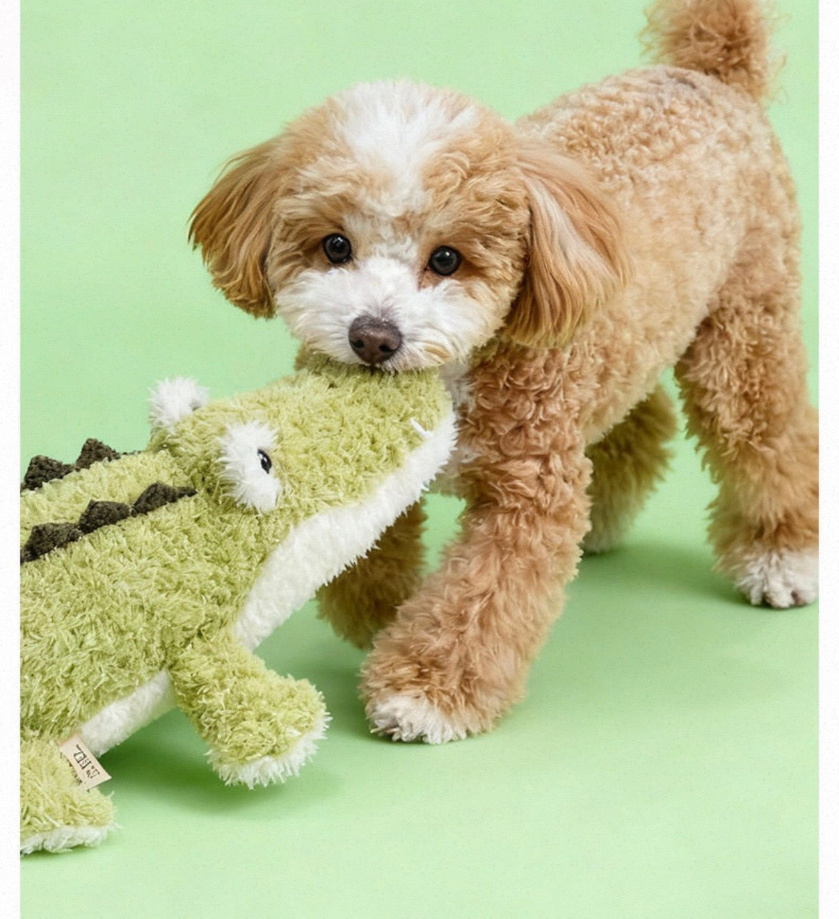 Squeaky Stuffed Dog Toy – Ocean Themed
