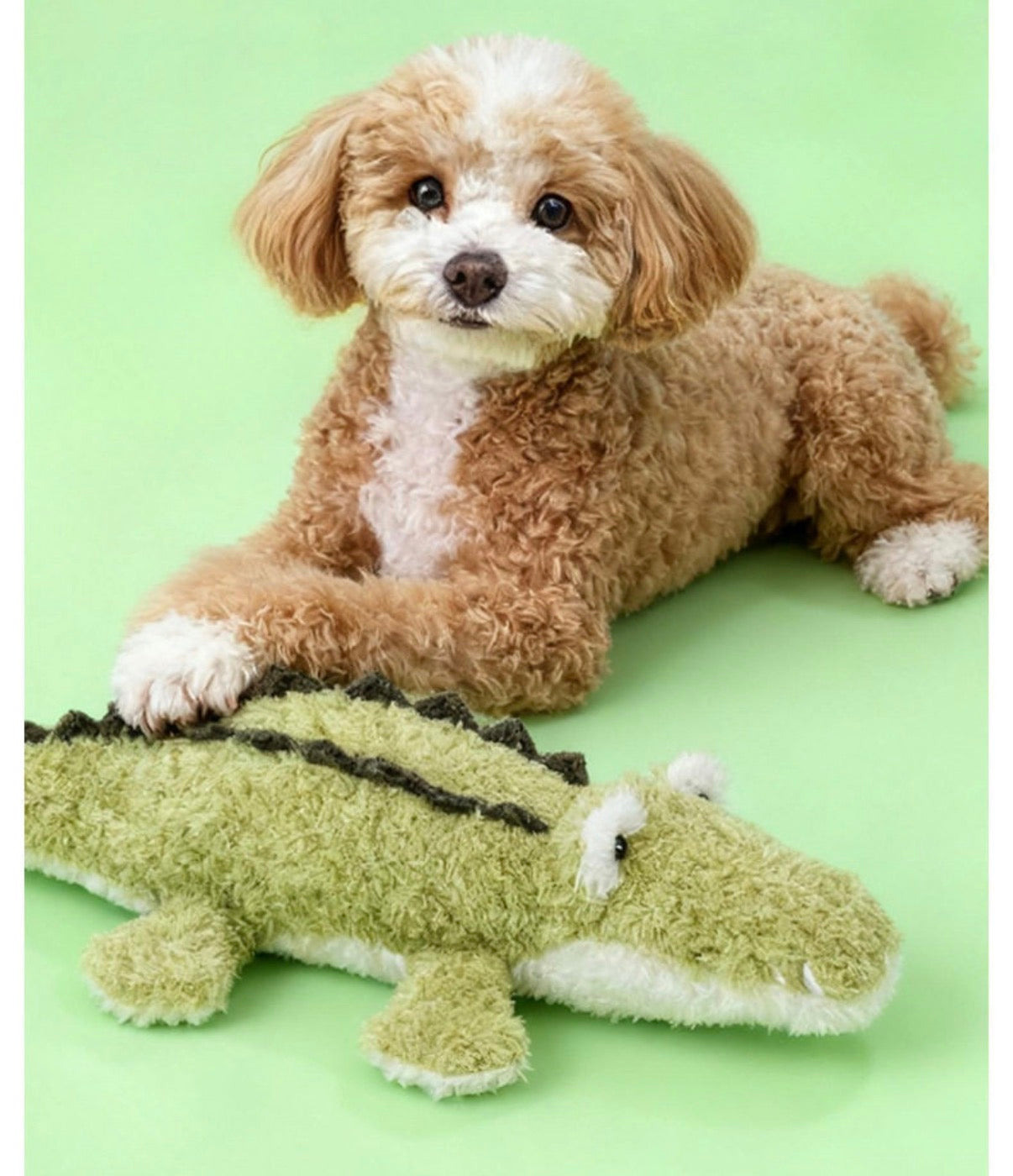 Squeaky Stuffed Dog Toy – Ocean Themed