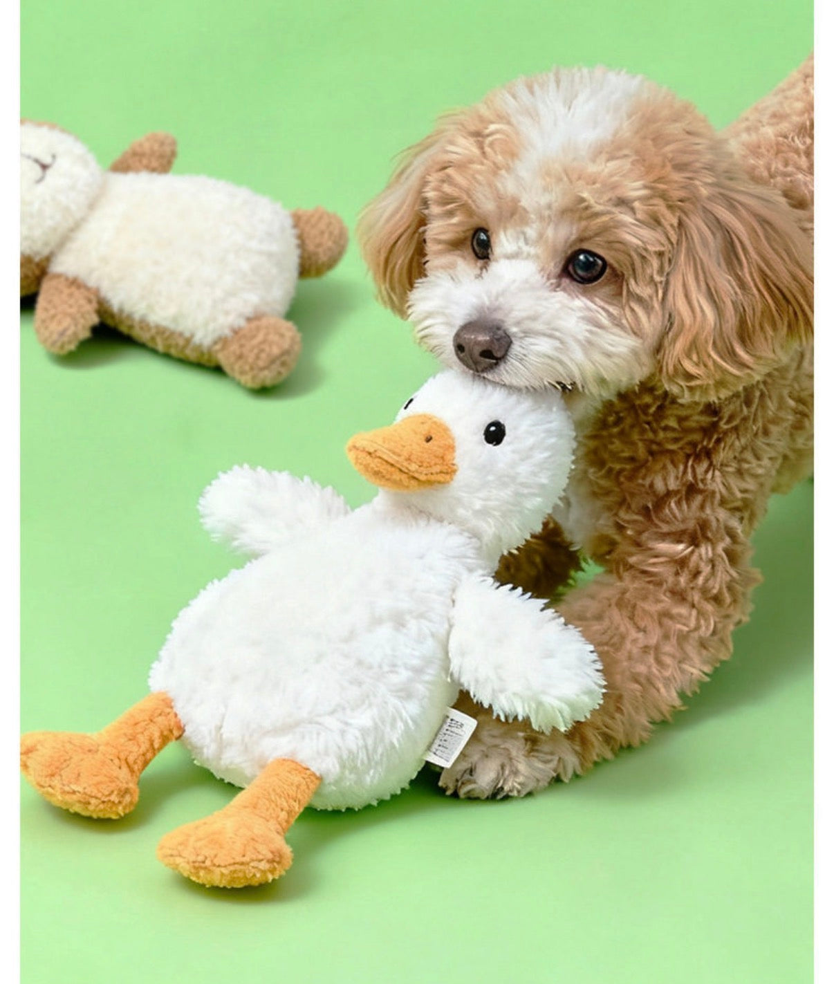 Squeaky Stuffed Dog Toy – Animal Themed (Duck & Frog)