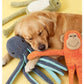 Squeaky Stuffed Dog Toy – Ocean Themed