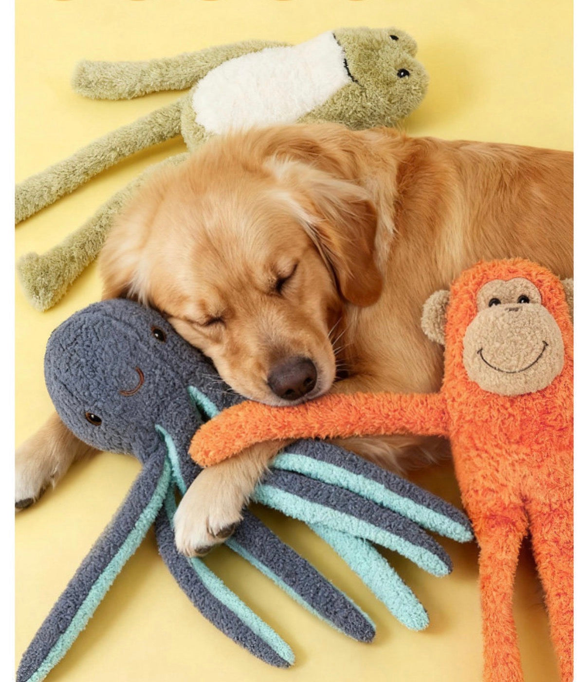 Squeaky Stuffed Dog Toy – Ocean Themed