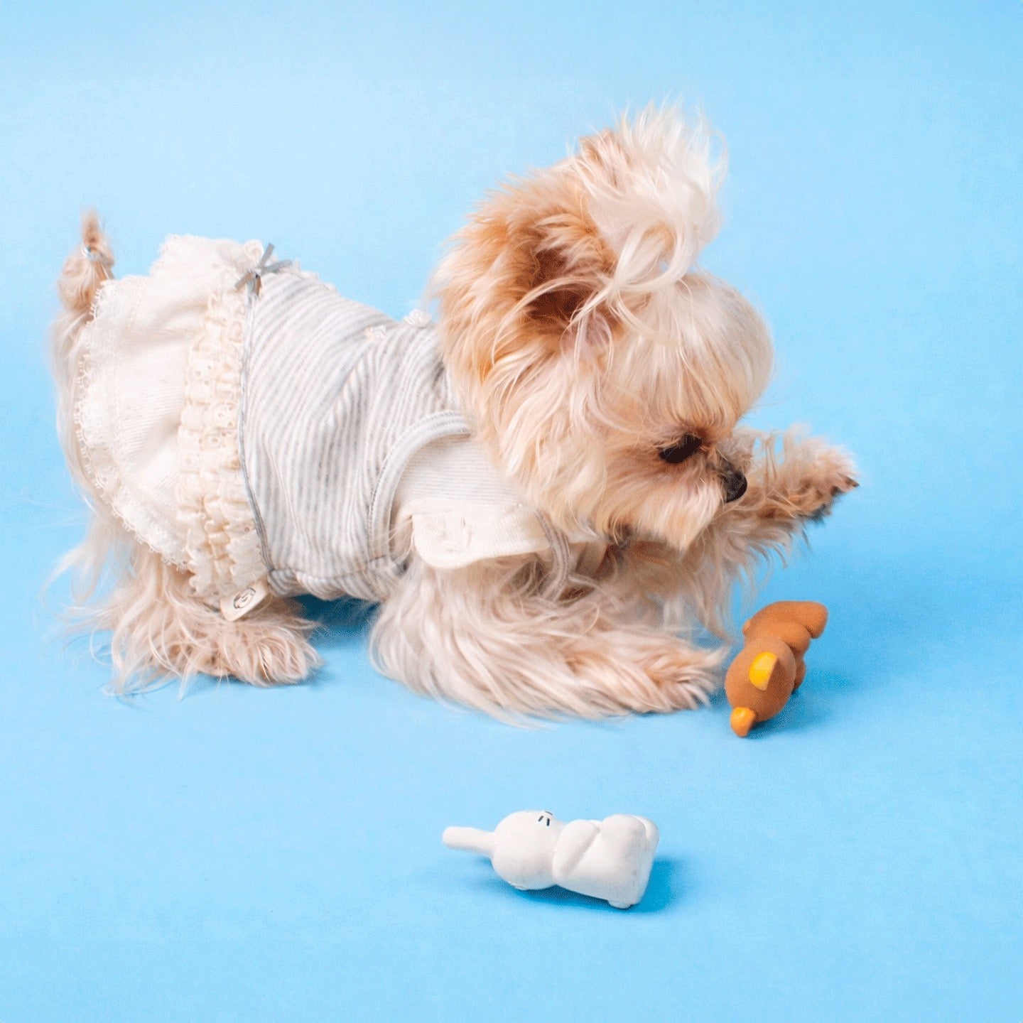 Squeaky Little Animal Toys – Non-Toxic Latex Chew & Fetch Toys