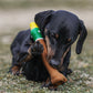 Squeaky Rubber Toys