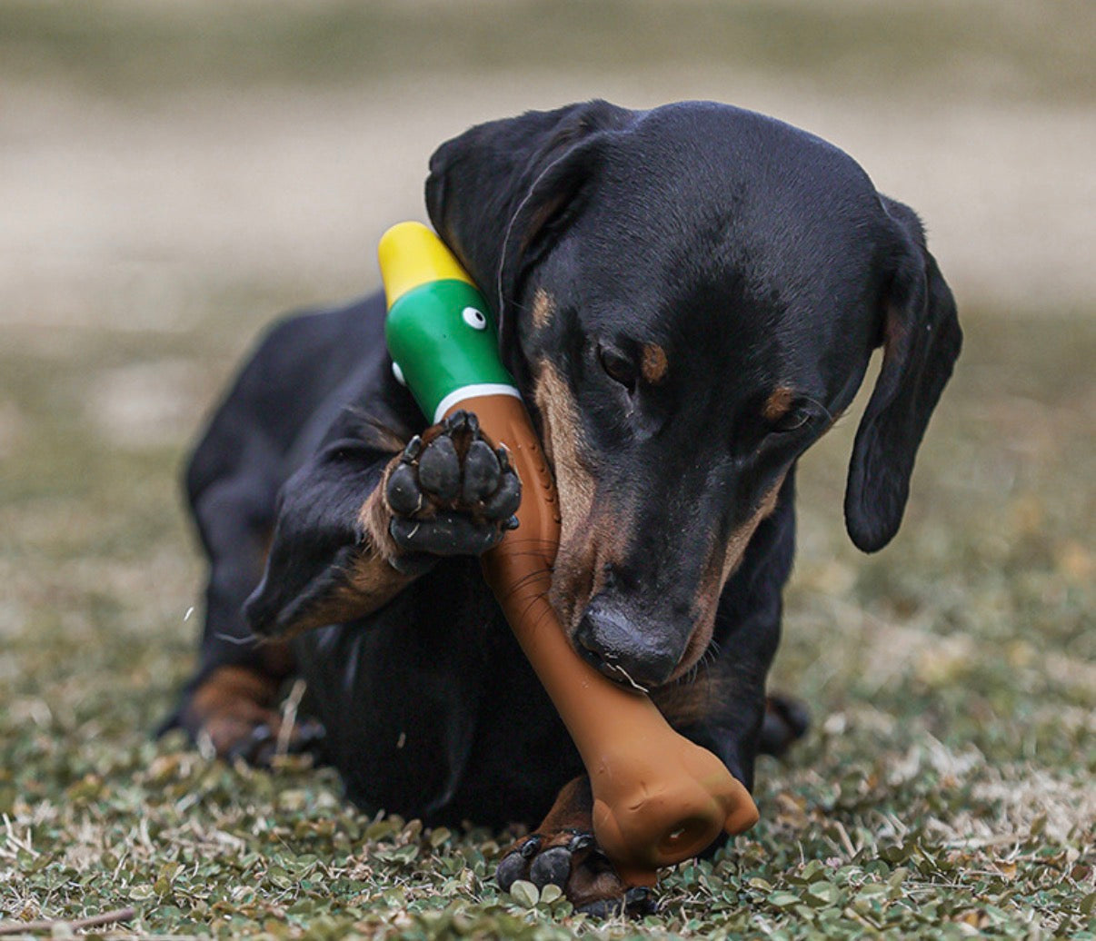 Squeaky Rubber Toys