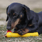 Squeaky Rubber Toys