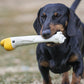 Squeaky Rubber Toys