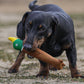 Squeaky Rubber Toys