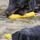 Squeaky Rubber Toys