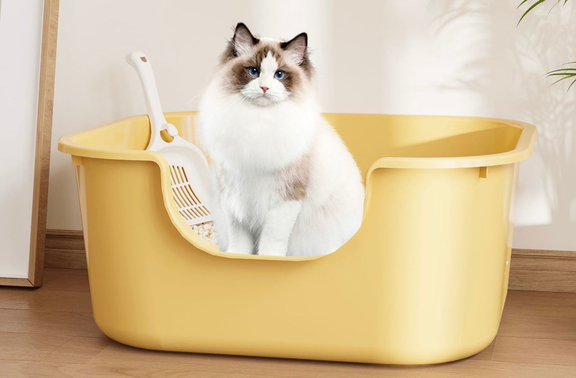 Cat Litter Box -4 colours