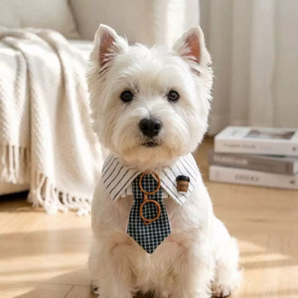 Handmade Tie Bandana