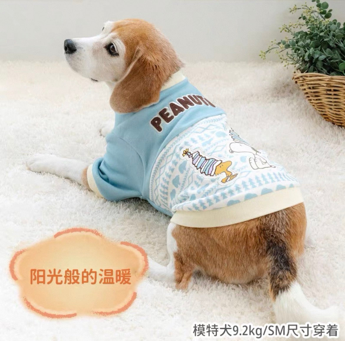 Snoopy Snowflake Winter Jumper