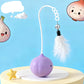 Automatic USB Laser Interactive Cat Toy