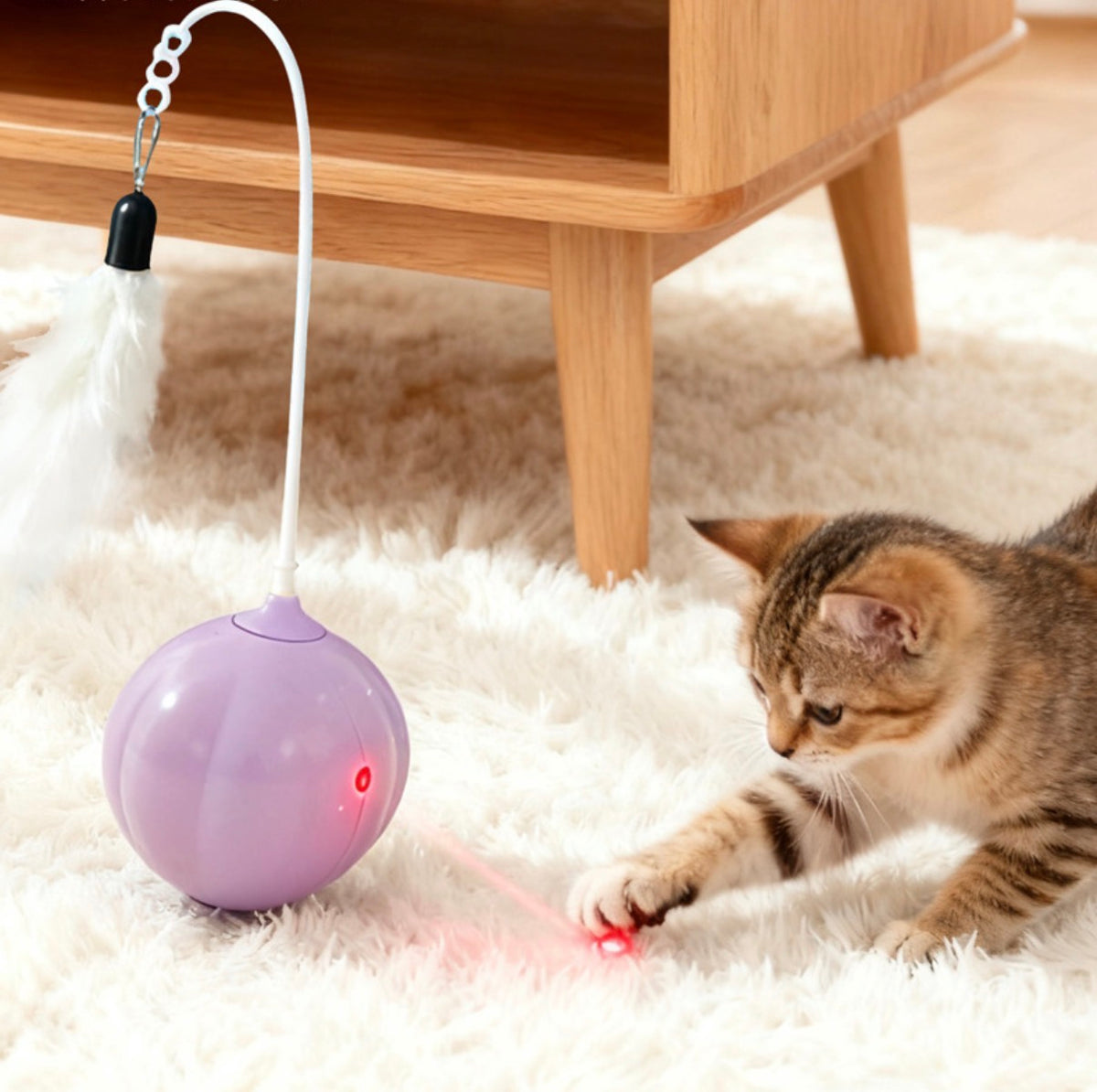 Automatic USB Laser Interactive Cat Toy