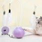Automatic USB Laser Interactive Cat Toy