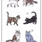Cat Temporary Tattoo Stickers