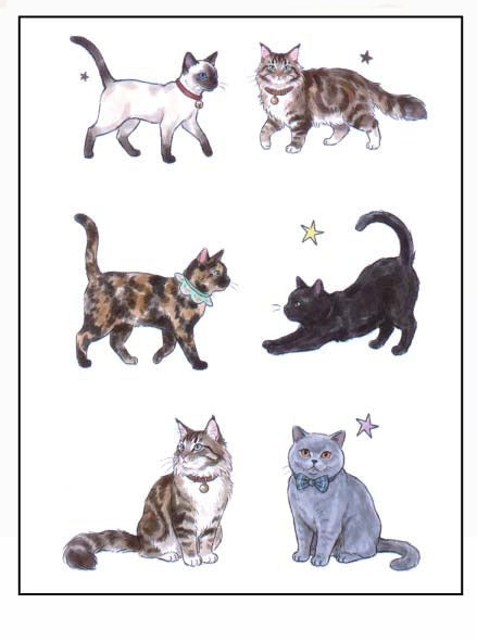 Cat Temporary Tattoo Stickers