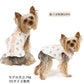 Vest, small dog, bear pattern, reversible | Skin-friendly, cotton, easy to wear, open back, prevents head from passing through