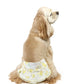 sanitary pants, antibacterial and deodorizing, small dogs, medium dogs, large dogs, Mimosa pattern | Dog clothes, girls, floral pattern, manners pants, ruffles, stylish, cute