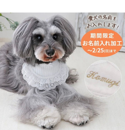 Pet bib, small dog, medium sized dog, large dog, ruffles | custom made, cat necklace, ribbon, lace, fashionable, cu