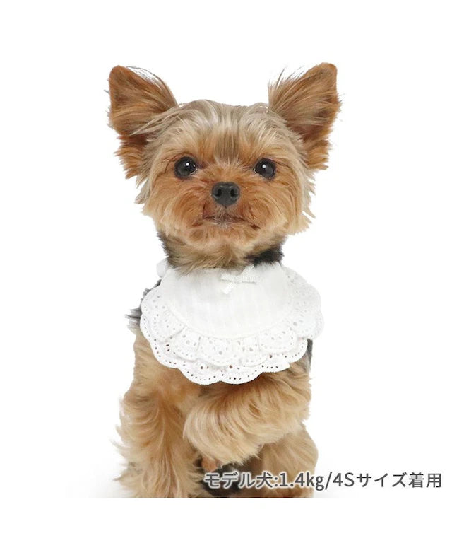 Pet bib, small dog, medium sized dog, large dog, ruffles | custom made, cat necklace, ribbon, lace, fashionable, cu