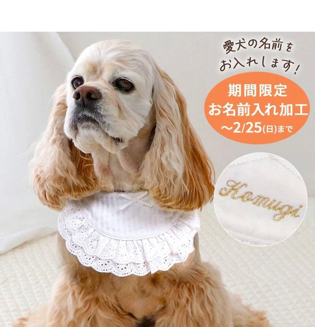 Pet bib, small dog, medium sized dog, large dog, ruffles | custom made, cat necklace, ribbon, lace, fashionable, cu