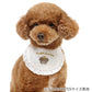 Pet bib, bear, crown |Cat necklace, bear, puppy, ribbon, lace, stylish, cute, easy, elastic, photo shoot, celebration