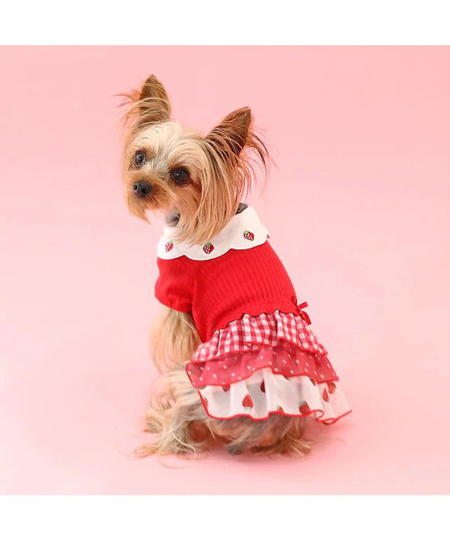 Dog clothes, one piece, small dog, strawberry embroidery, scalloped collar | Girls' red pink plaid ruffle skirt, strawberry, fashionable, cute, dog cat clothes