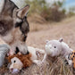 Safari Toys and  Big Five of Africa