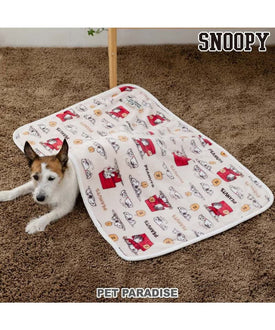 Snoopy Blanket 