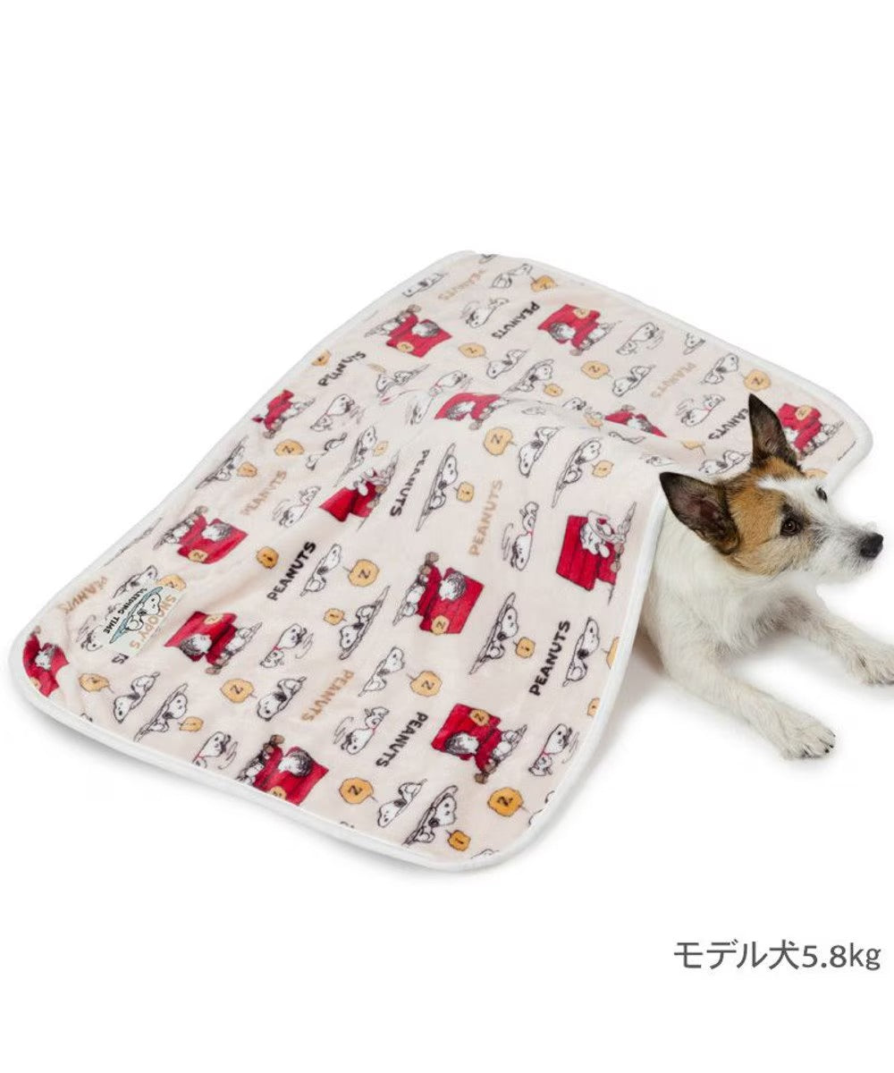 Snoopy Blanket "Napping Pattern"