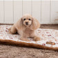 Disney Lady and the Tramp Far Infrared Mat