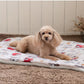 Snoopy nap pattern square mat
