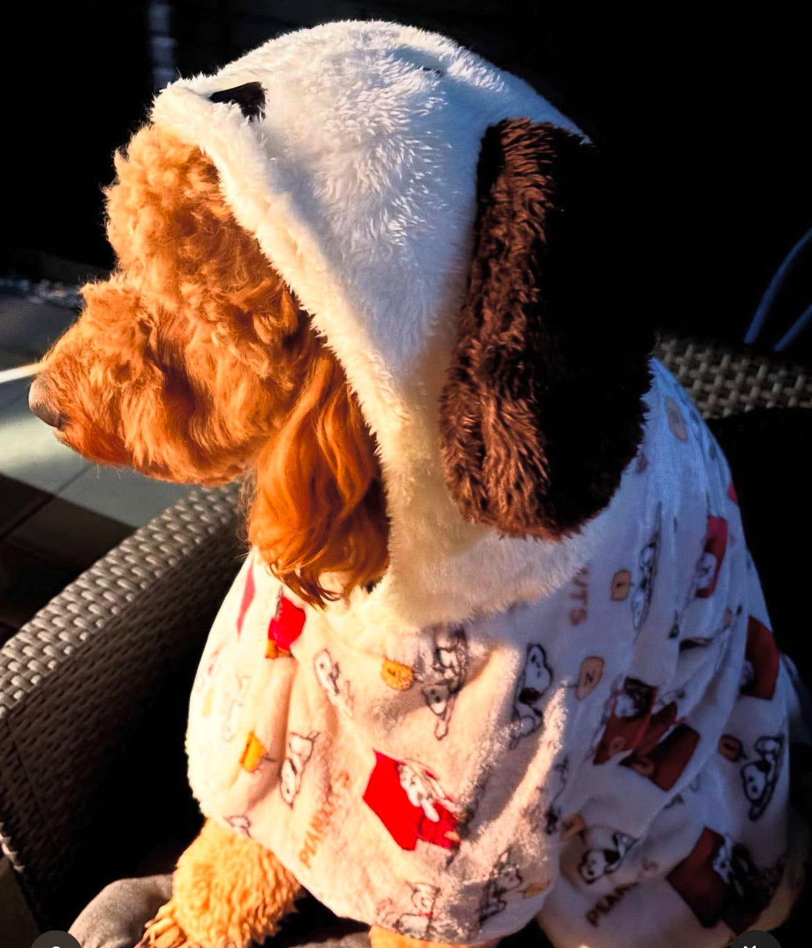 Snoopy Blanket to Wear "Napping pattern" Hooded Ears Winter Clothes Heat Retention Cold Protection (Copy)