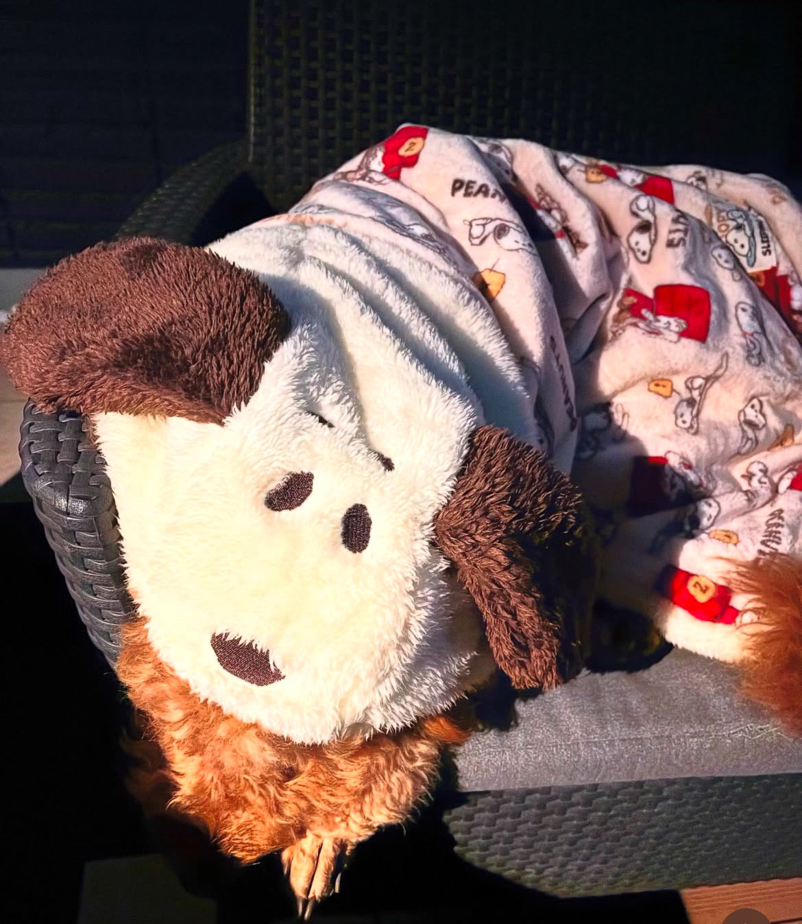 Snoopy Blanket to Wear "Napping pattern" Hooded Ears Winter Clothes Heat Retention Cold Protection (Copy)