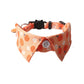 Cat Collar – Removable 11 Designs