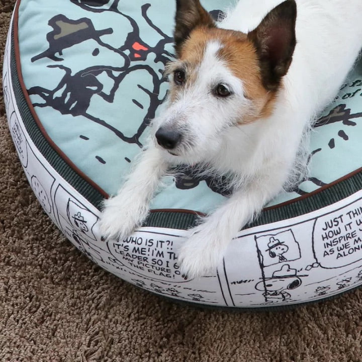 Snoopy Cushion (60cm) Beagle Scout Pattern | 50th Anniversary