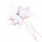 Cat Teaser Attachment - Feather