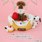 Dog Toy Nosework Snoopy Cake