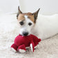 Disney Dog Toy Toy Story Lotso