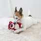 Disney Dog Toy Toy Story Lotso