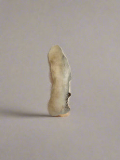 Rabbit Hind Foot with Fur