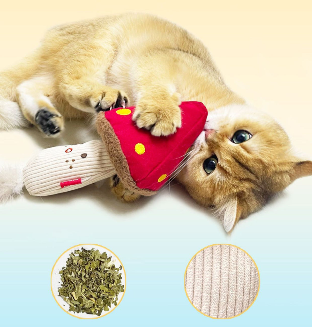 Interactive Catnip Toys