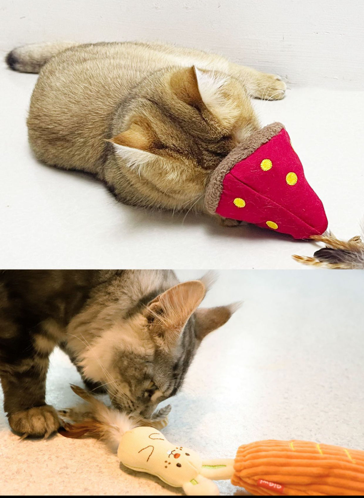 Interactive Catnip Toys
