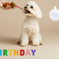 Birthday Toys and Packs