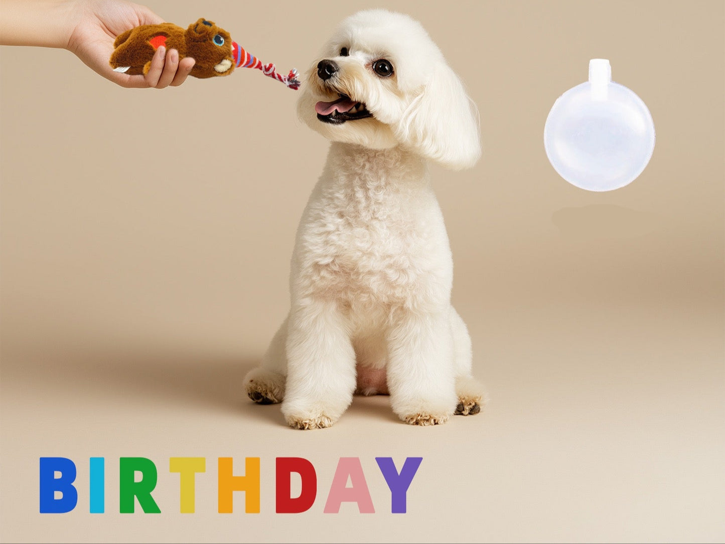 Birthday Toys and Packs