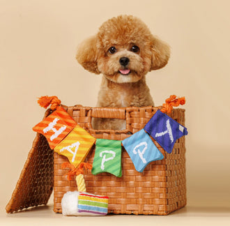 Birthday Toys and Packs