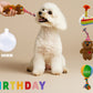 Birthday Toys and Packs