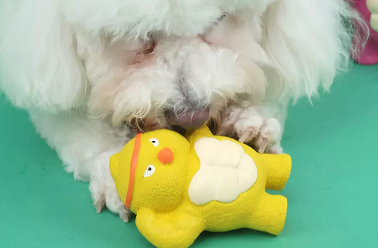 Squeaky Muscle animal Rubber Toys