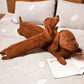 Sausage Dog Soft Toy