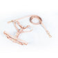Step In Harness for both Cats and Dogs